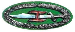 Combat Commander's Badge (Philippines)