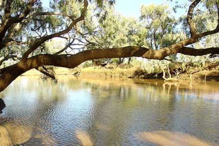 Combo Waterhole Combo Waterhole southeast of Kynuna in Queensland ABC News