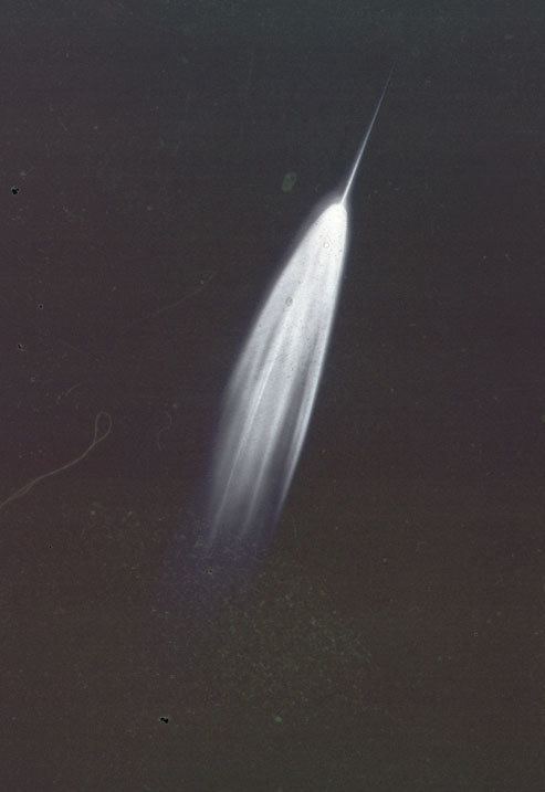 Comet Arend–Roland Patrick Moore Collection