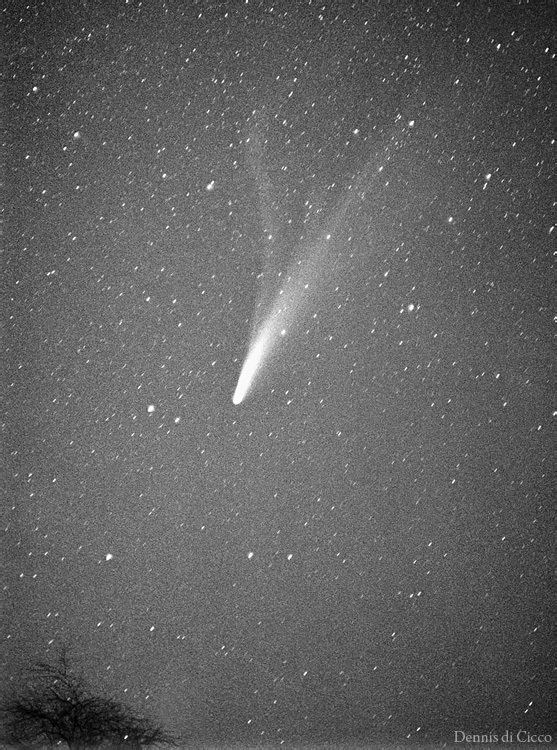 Comet Bennett The Bright Comet of 1970quot by Dennis di Cicco TWAN