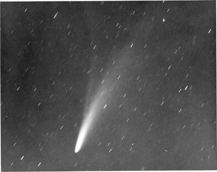Comet Bennett Whitney39s