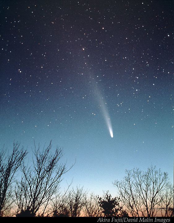 Comet Bennett twanightorgnewTWANphotos3001204jpg