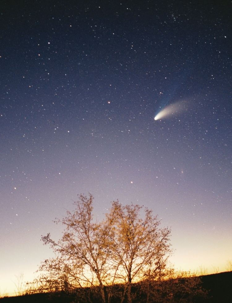 Comet Hale–Bopp Comet HaleBopp Wikipedia