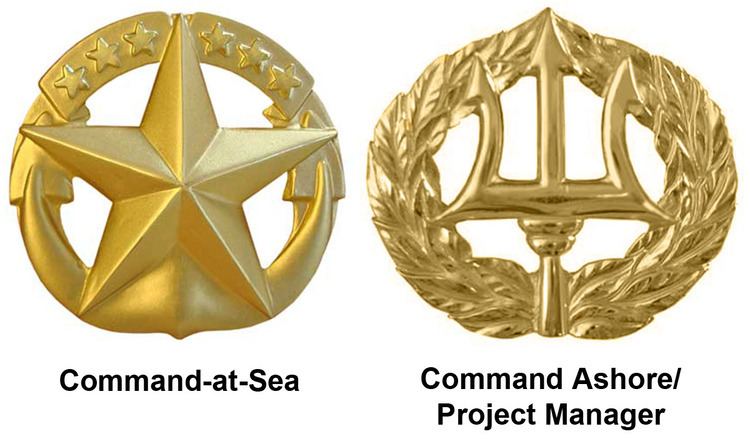 Command at Sea insignia