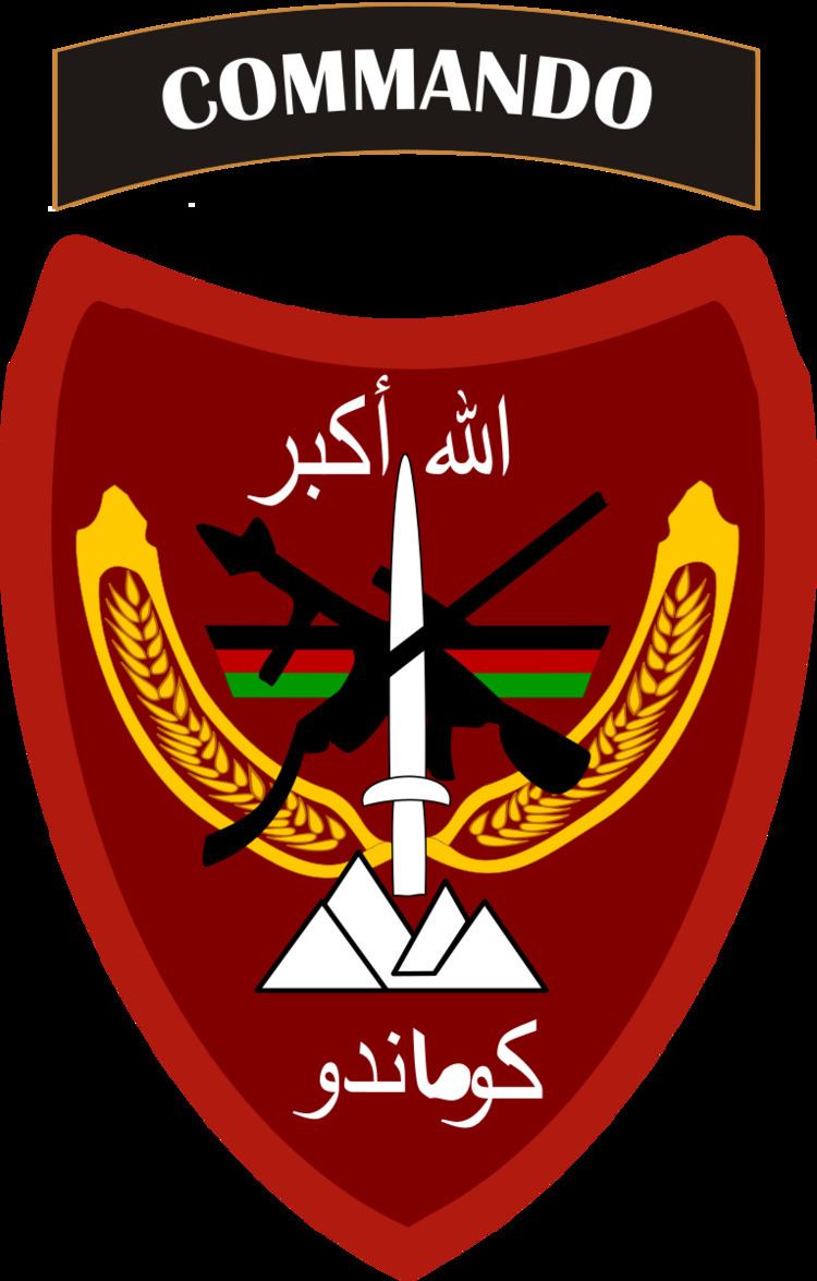 Commandos (Afghanistan)