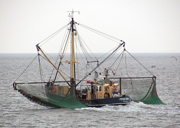 Commercial fishing