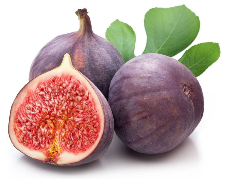 Common fig Online Buy Wholesale common fig from China common fig Wholesalers