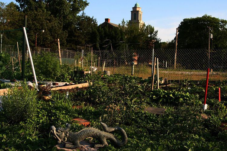 Community gardening in the United States