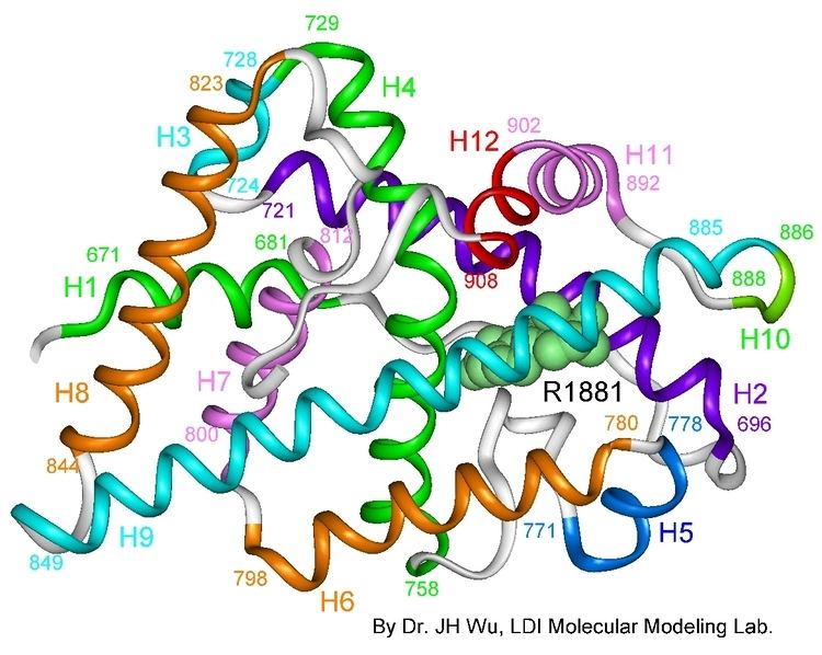 Complete androgen insensitivity syndrome