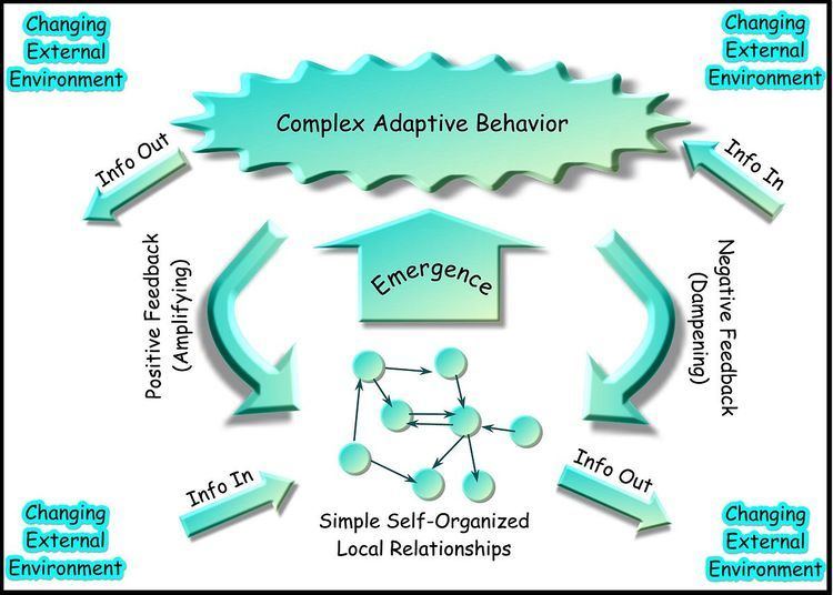 Complex systems biology