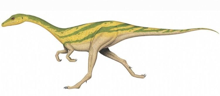 Compsognathus Compsognathus Qfiles Encyclopedia