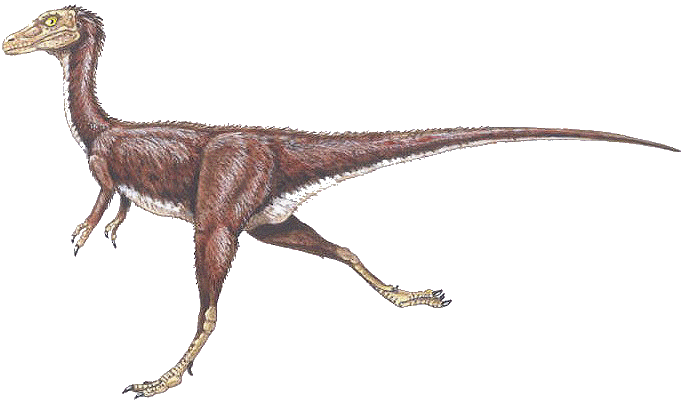 Compsognathus Compsognathus longipes Compsognathidae dinosaur