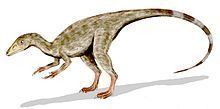 Compsognathus httpsuploadwikimediaorgwikipediacommonsthu