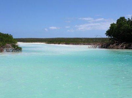 Conception Island, Bahamas httpsmediacdntripadvisorcommediaphotos03