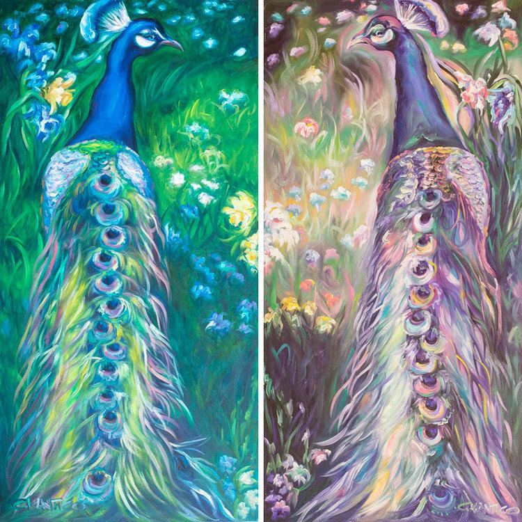 Peacock paintings of Concetta Antico