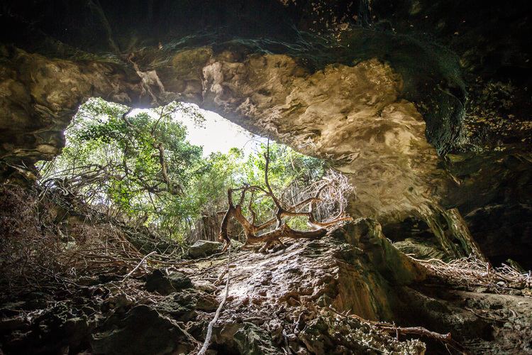 Conch Bar Caves Turks amp Caicos National Trust Conch Bar Caves National Park