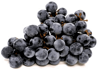 Concord grape Concord Grapes Information Recipes and Facts