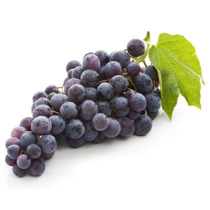 Concord grape dennickfruitsourcecomwpcontentuploads201402