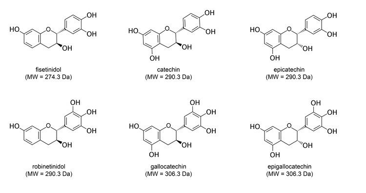 Condensed tannin Determination of Molecular Structures of Condensed Tannins from