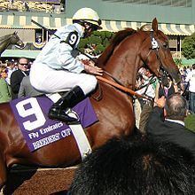 Conduit (horse) httpsuploadwikimediaorgwikipediacommonsthu
