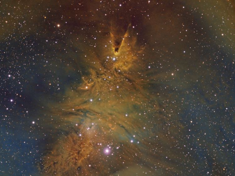 Cone Nebula Bill Snyder Astrophotography NGC2264 Cone Nebula