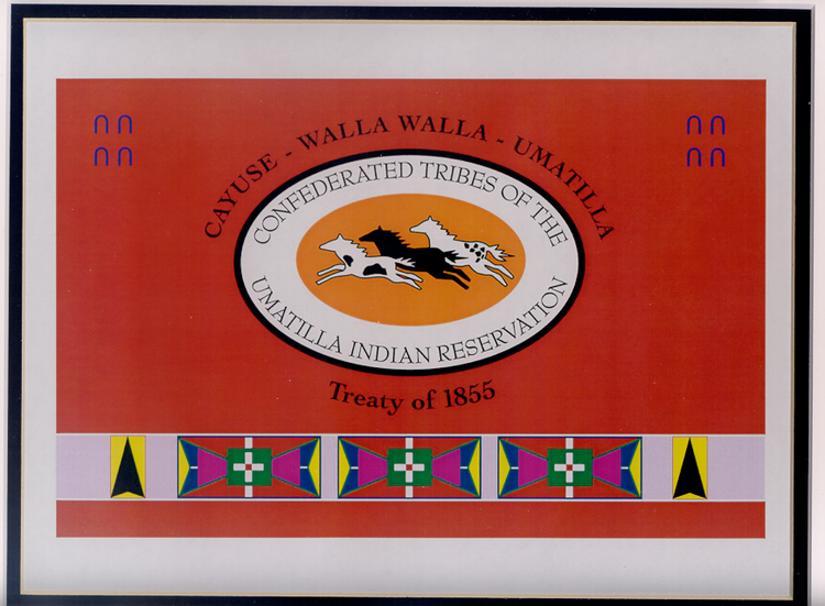 Confederated Tribes of the Umatilla Indian Reservation Confederated Tribes of the Umatilla Indian Reservation NPAIHB