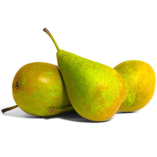 Conference pear Conference Pears Available Now At wwwfirst4hamperscom Flickr