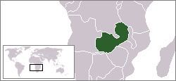 Congo Pedicle