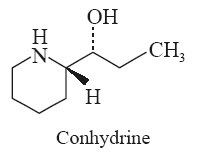 Conhydrine 4bpblogspotcom2B0iQXitd0ThBmuUmusIAAAAAAA