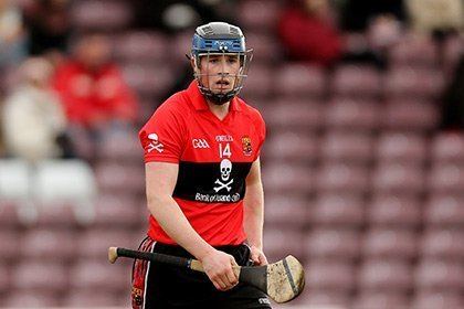 Conor Lehane Waterford Crystal Cup UCC and UL advance Hoganstandcom