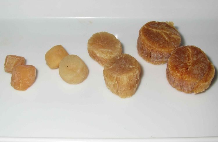 Conpoy Foodstuff Dried Scallops Conpoy Sybaritica