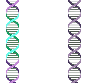 Conservative transposition