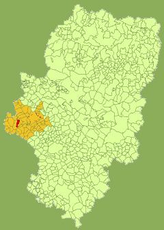 Contamina