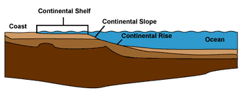 Continental rise Oceanography101 Continental Rise