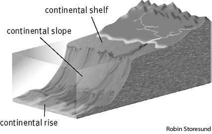 Continental rise Continental rise Define Continental rise at Dictionarycom