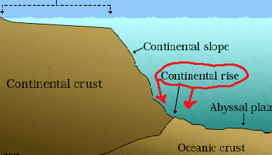 Continental rise Rise