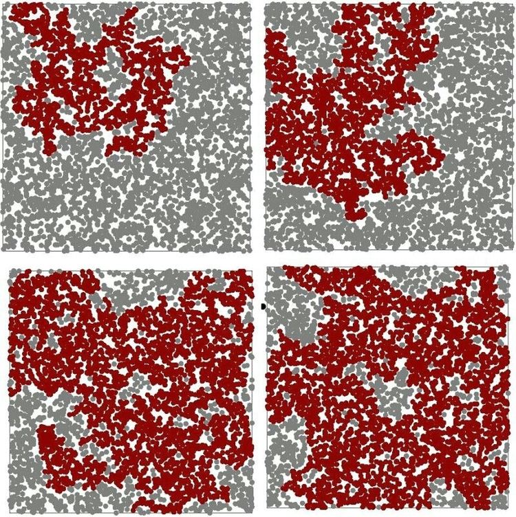 Continuum percolation theory