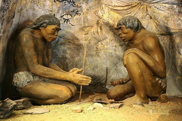 Control of fire by early humans