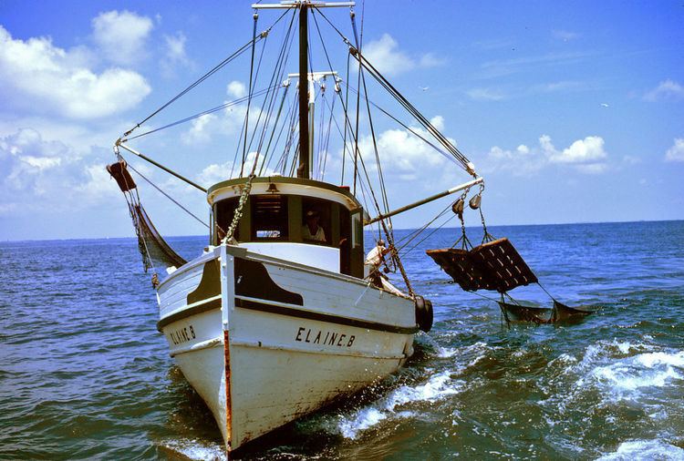 Convention on Fishing and Conservation of the Living Resources of the High Seas