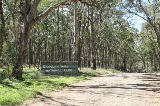 Coolah Tops National Park NSW Coolah Tops National Park