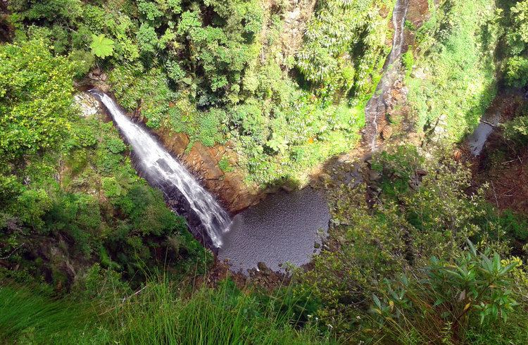 Coomera Falls Coomera Circuit Binna Burra Brisbane