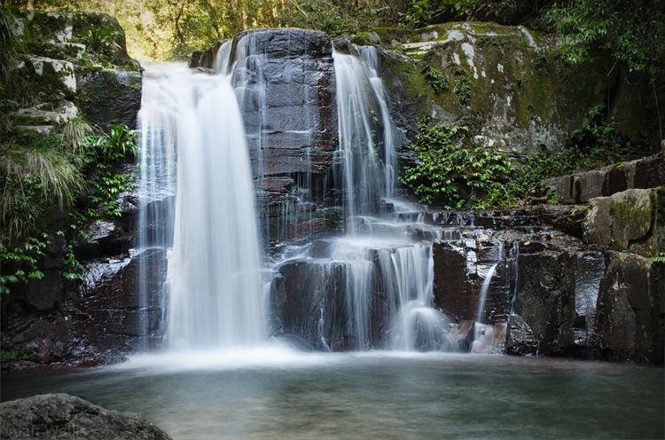 Coomera Falls Binna Burra Coomera Circuit Rainforest Images