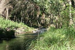 Coomera River httpsuploadwikimediaorgwikipediacommonsthu