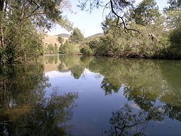 Cooplacurripa River httpsuploadwikimediaorgwikipediacommonsthu