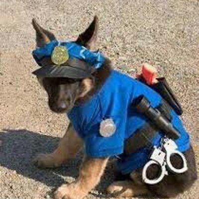 Cop Dog Not A Cop Dog NotCopDog Twitter