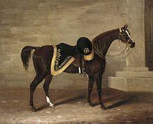 Copenhagen (horse) httpsuploadwikimediaorgwikipediacommonsthu