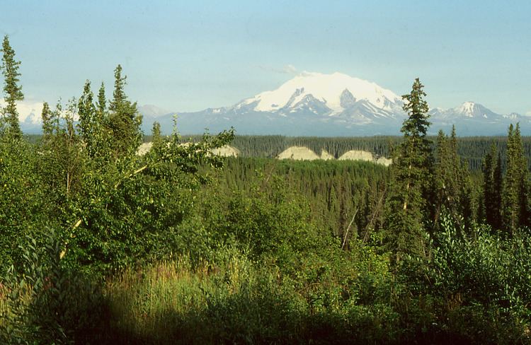 Copper Plateau taiga wwwcasvanderbiltedubioimagesbiohiresecoregio