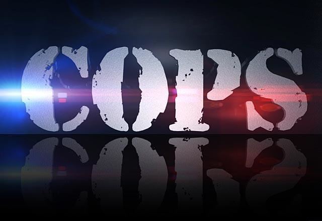 Cops (TV series) Cops Is Latest TV Series Getting the Movie Treatment Digital Trends
