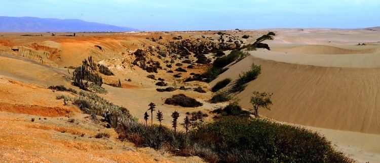 Coquimbo Region Beautiful Landscapes of Coquimbo Region