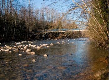 Coquitlam River wwwcoquitlamriverwatershedcasitesdefaultfiles